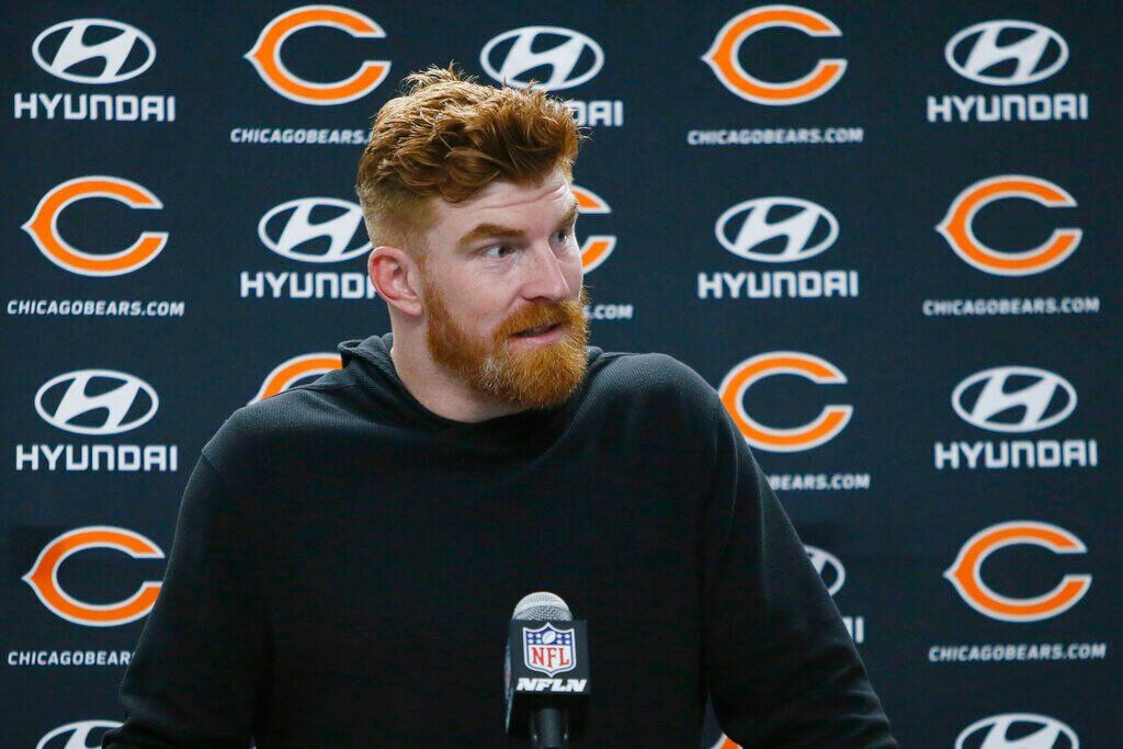 Bears Lions Football